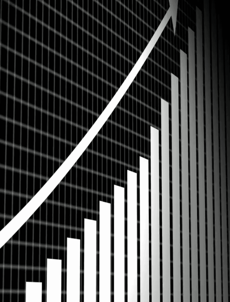 Sustainable Growth